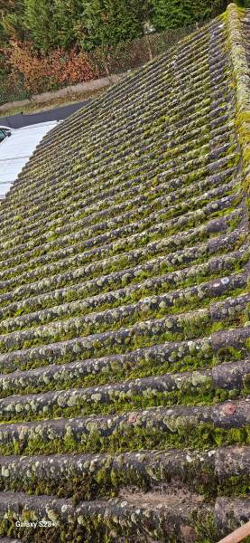 Nettoyage de votre toiture sur Bordeaux et en Gironde