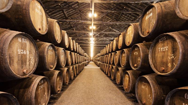 nettoyage caves de château à Bordeaux 